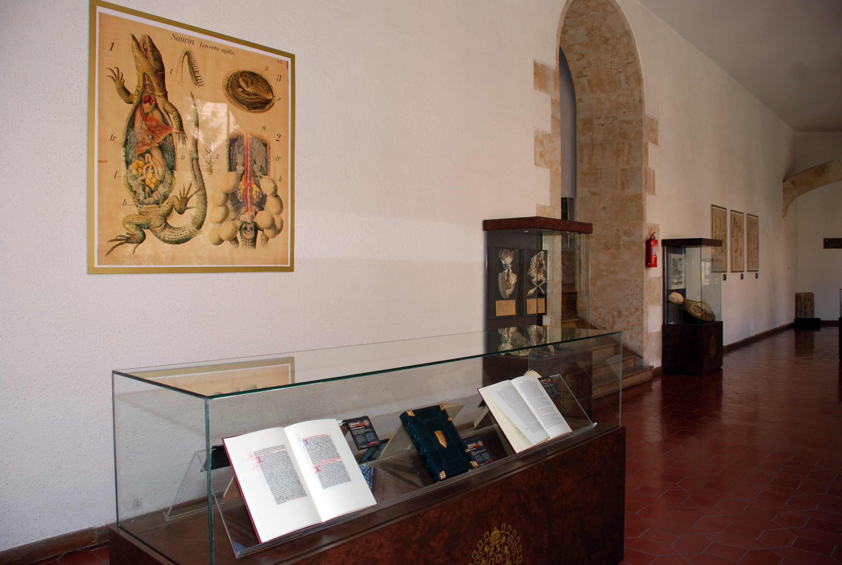 Presentación del proyecto de intervención museística de las Escuelas Mayores de la Universidad de Salamanca