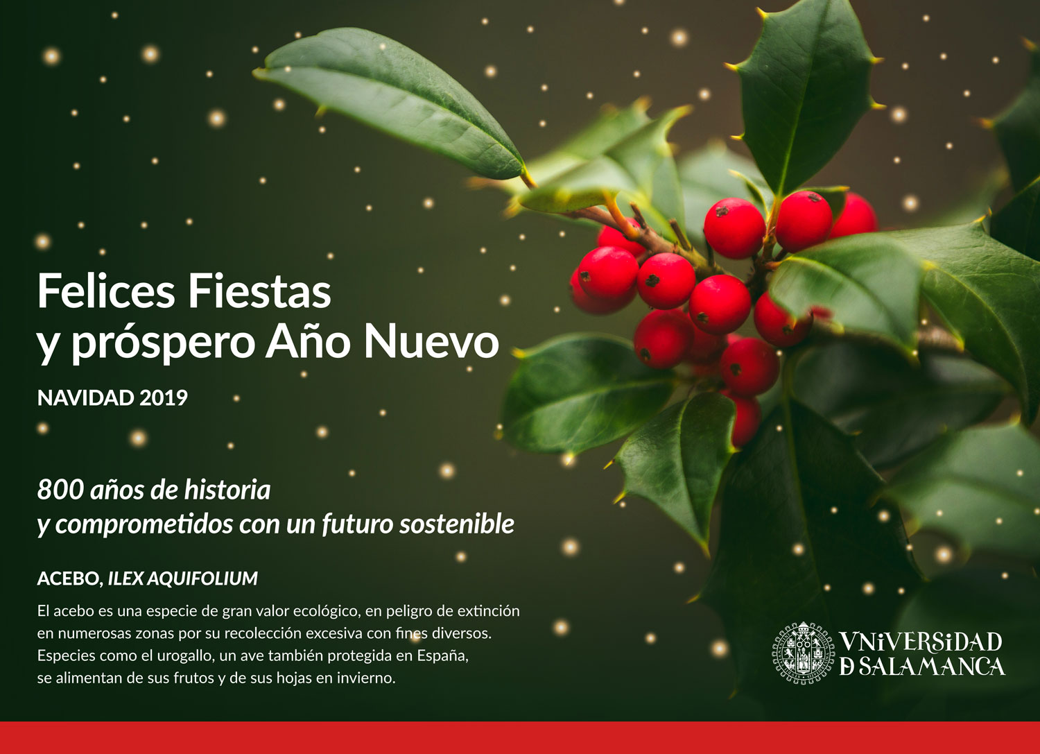 Feliz Navidad 2019