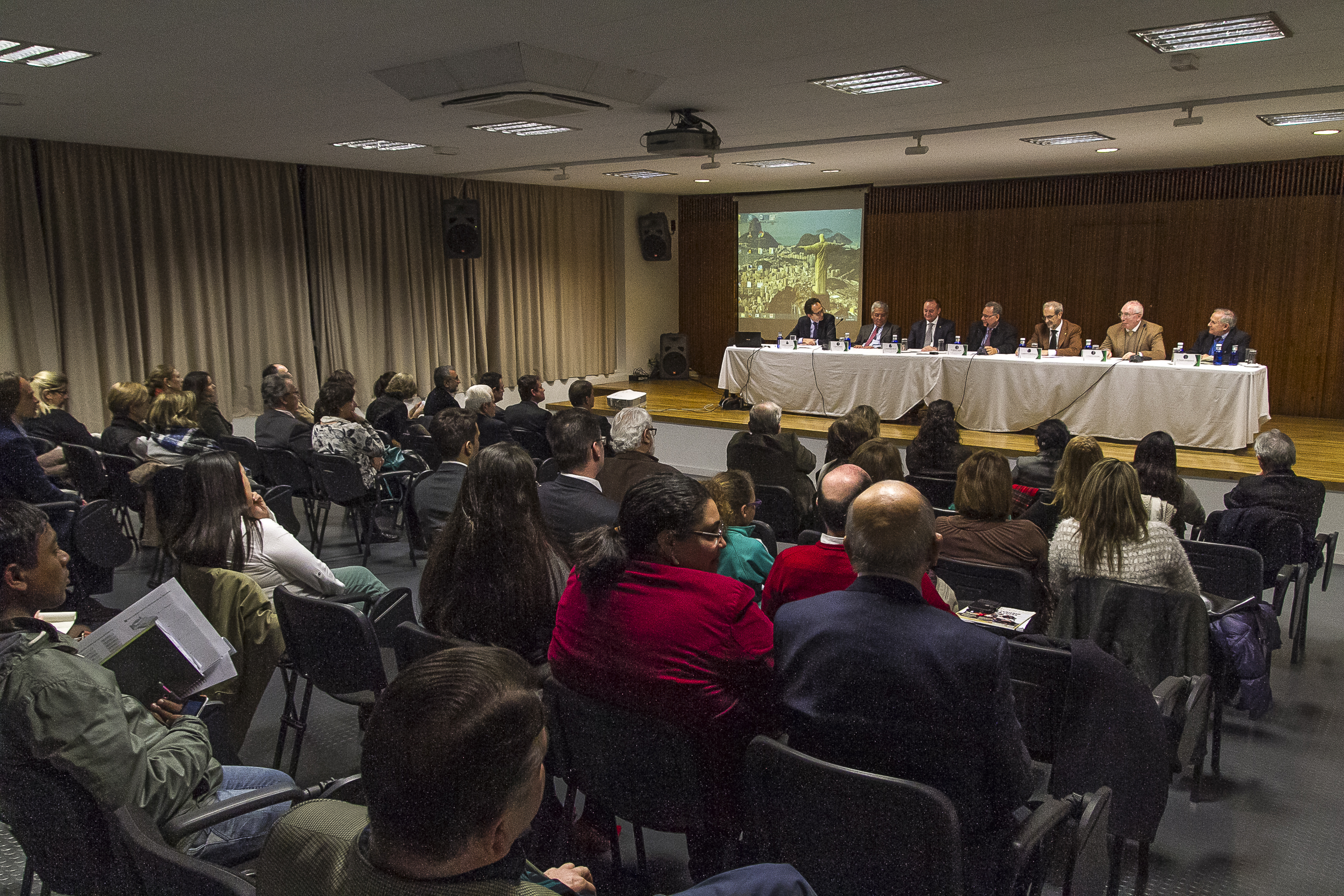 El rector, Daniel Hernández Ruipérez, participa en Madrid en la mesa redonda ‘La cooperación científica Brasil-España: las ciencias matemáticas’