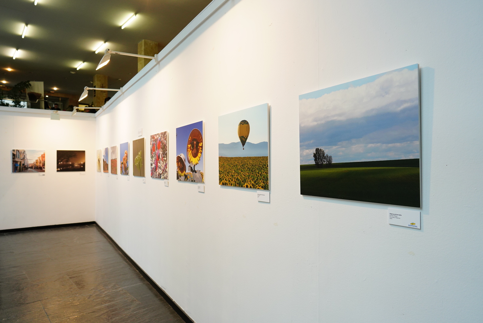 La Universidad de Salamanca y RTVCYL inauguran la exposición fotográfica ‘El tiempo, la mirada de la audiencia’