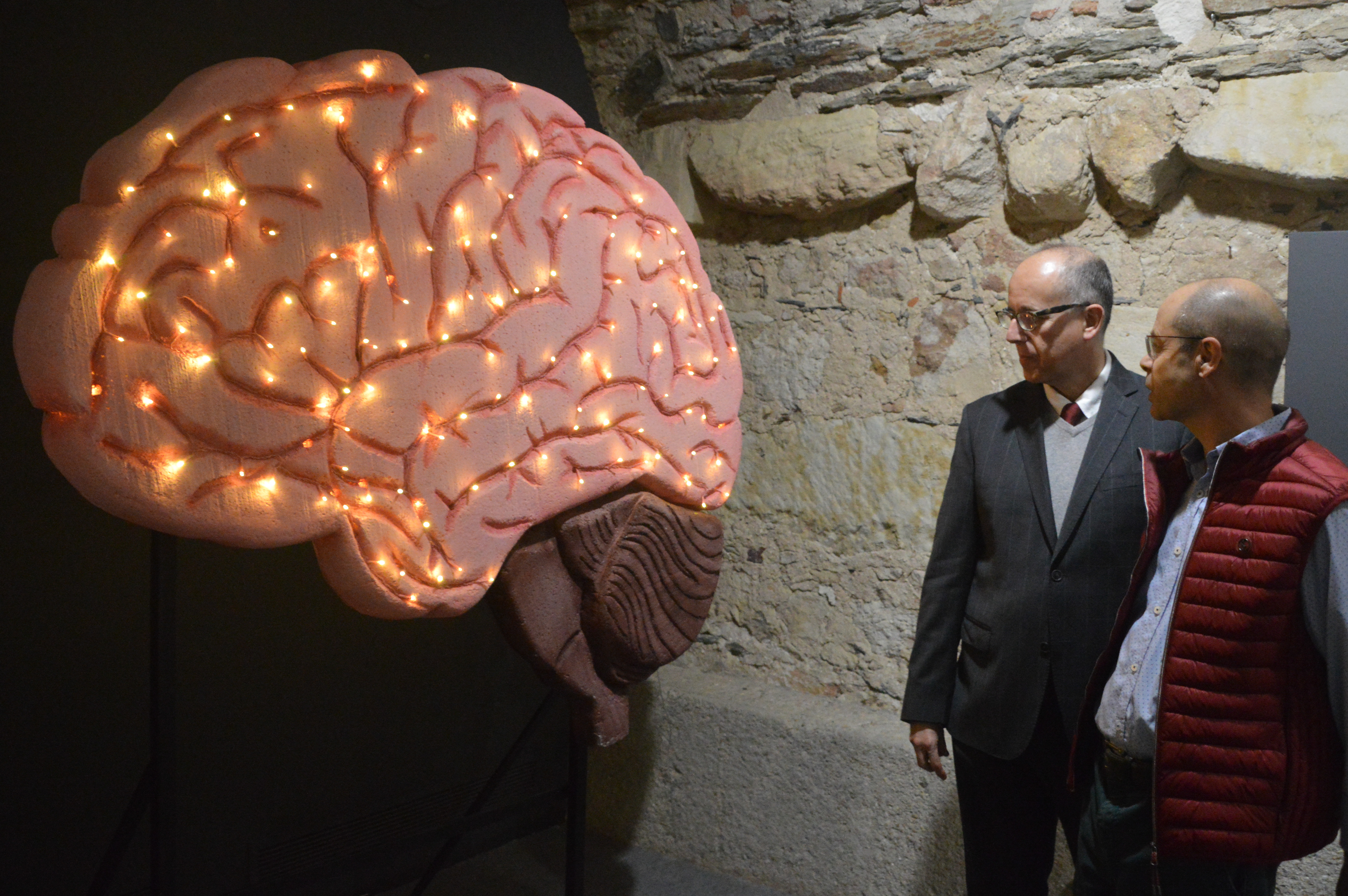 La Semana Mundial del Cerebro abre su programa de actividades con el I Certamen de Neurociencia