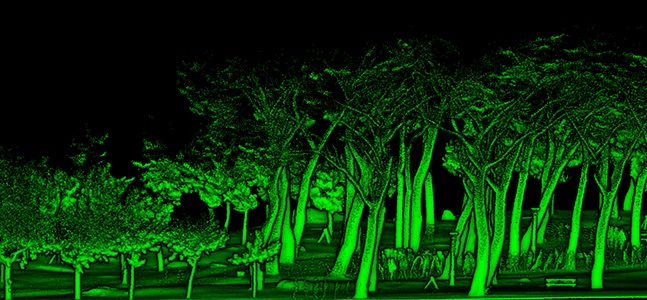 Radiografía tridimensional de un escenario forestal 