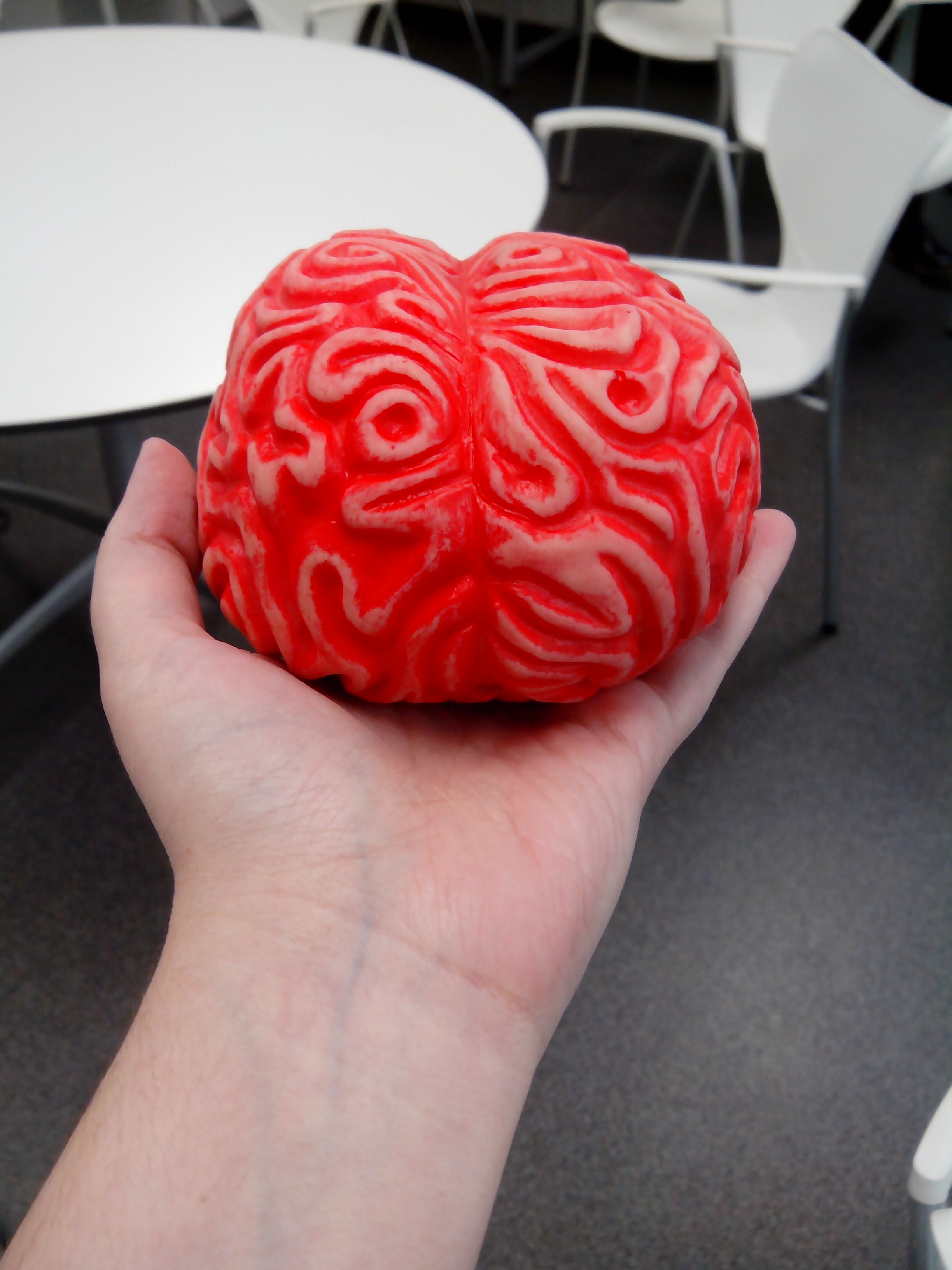 La Universidad de Salamanca invita a descubrir los misterios del cerebro
