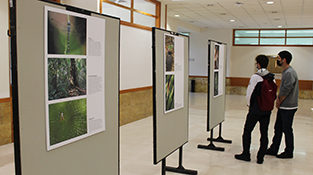 El Campus Unamuno acoge la exposición fotográfica ‘La luz en los ecosistemas forestales amazónicos’