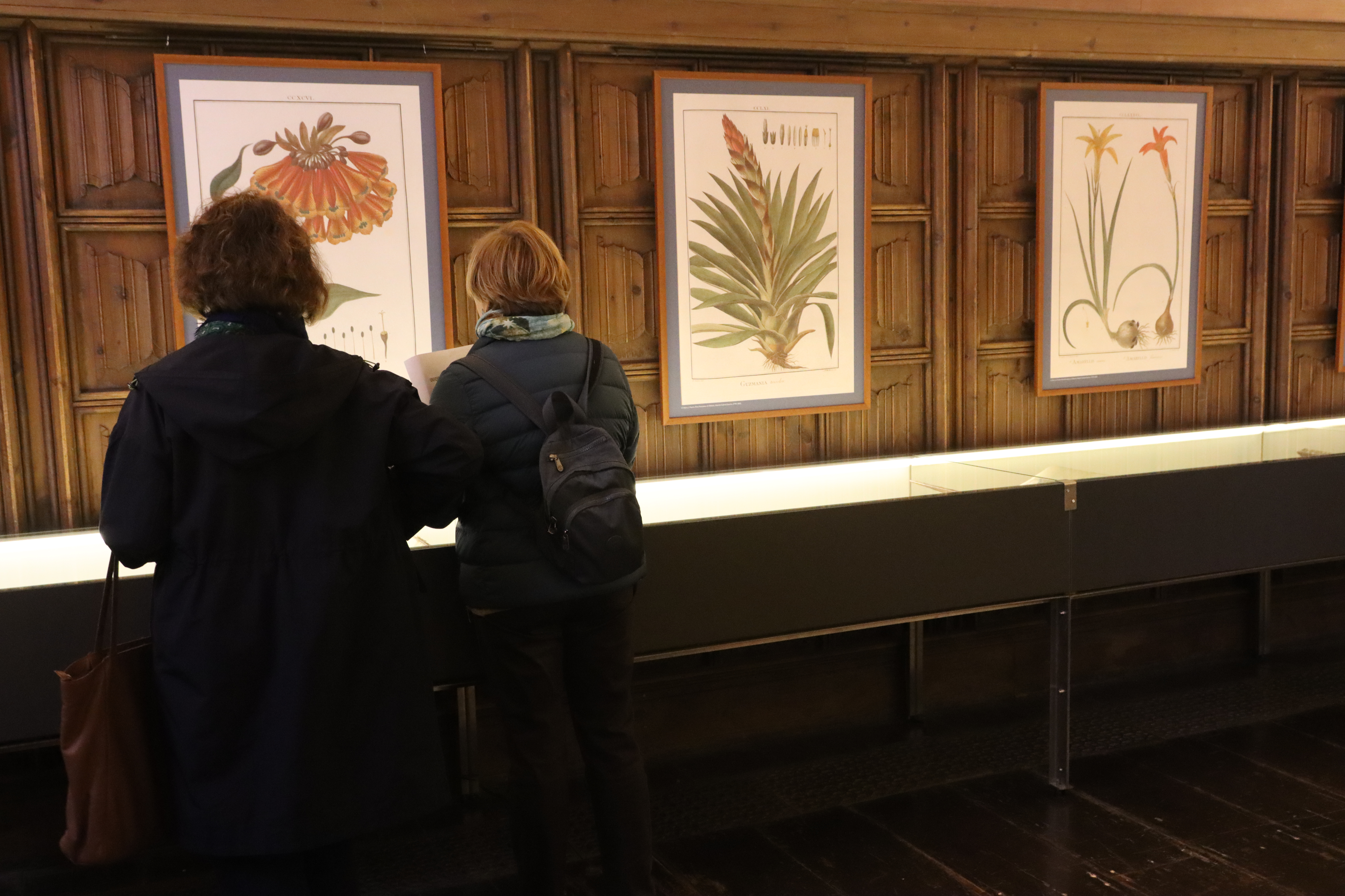 La Universidad de Salamanca ofrece un paseo por los jardines en el tiempo en una exposición del fondo antiguo de su Biblioteca General Histórica