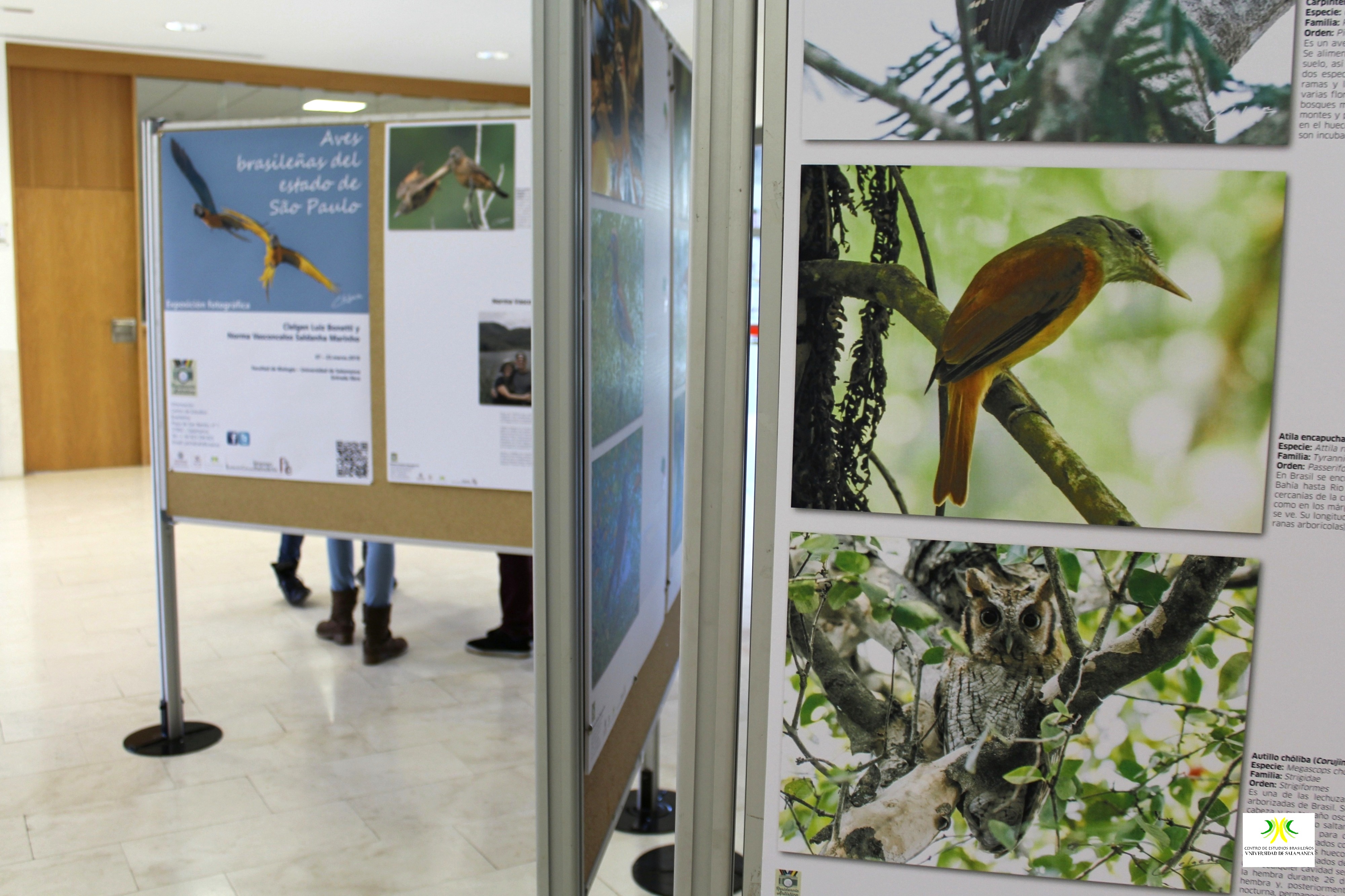 El Centro de Estudios Brasileños inaugura una exposición sobre avifauna del estado de São Paulo en la Facultad de Biología de la Universidad de Salamanca