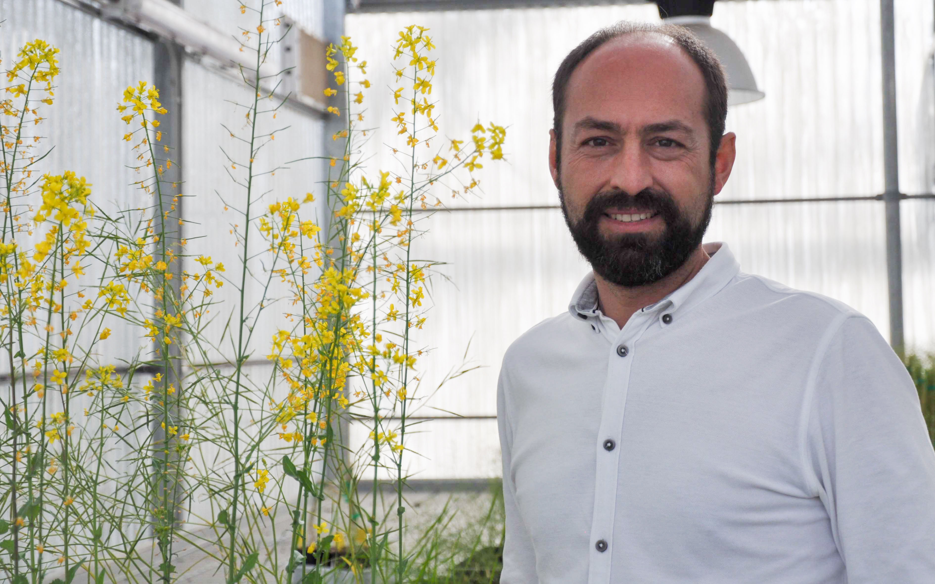 La Universidad de Salamanca avanza en la investigación sobre la respuesta a estrés de las plantas en condiciones ambientales adversas