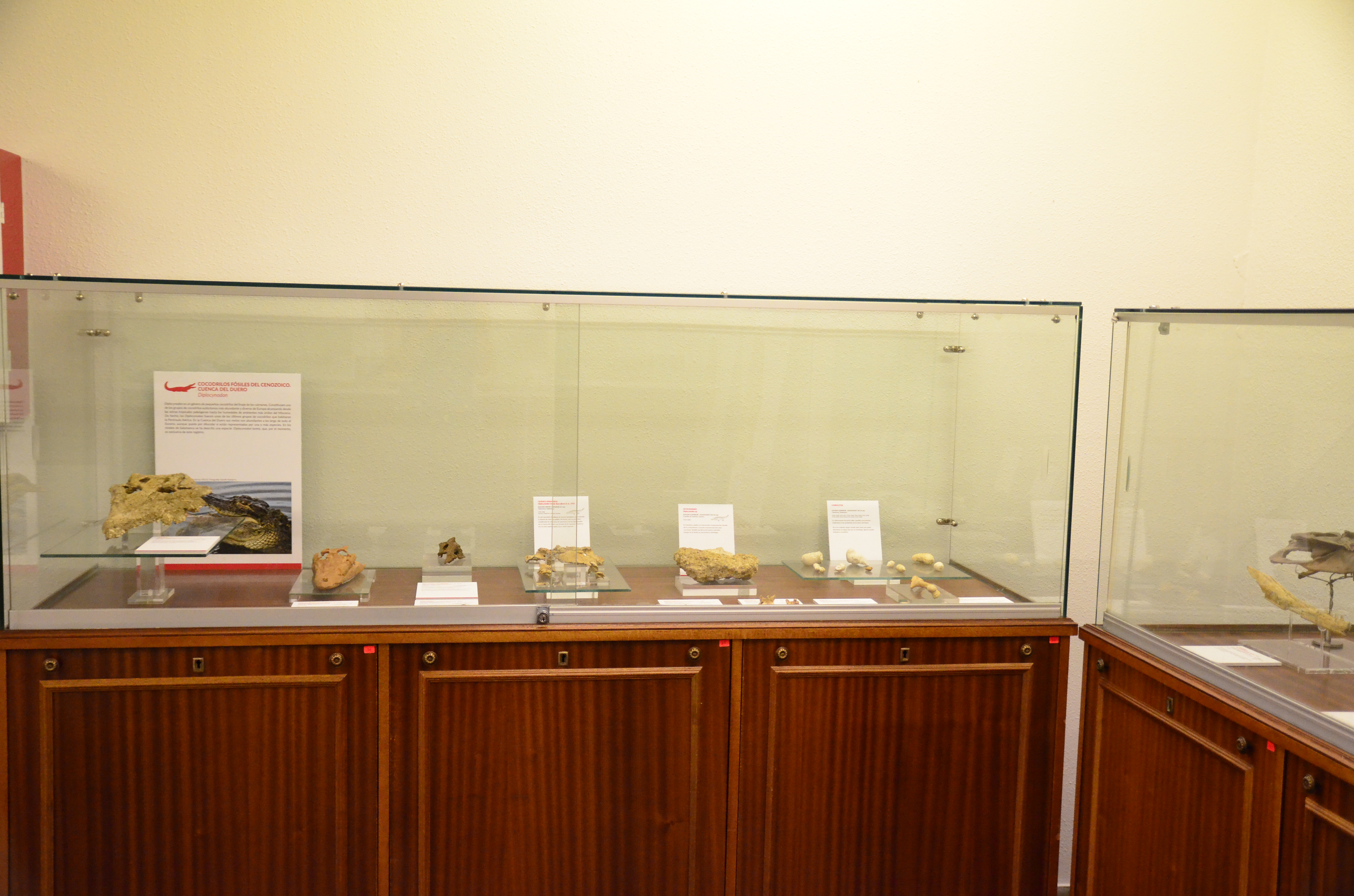 La Facultad de Ciencias homenajea al impulsor de la Sala de las Tortugas
