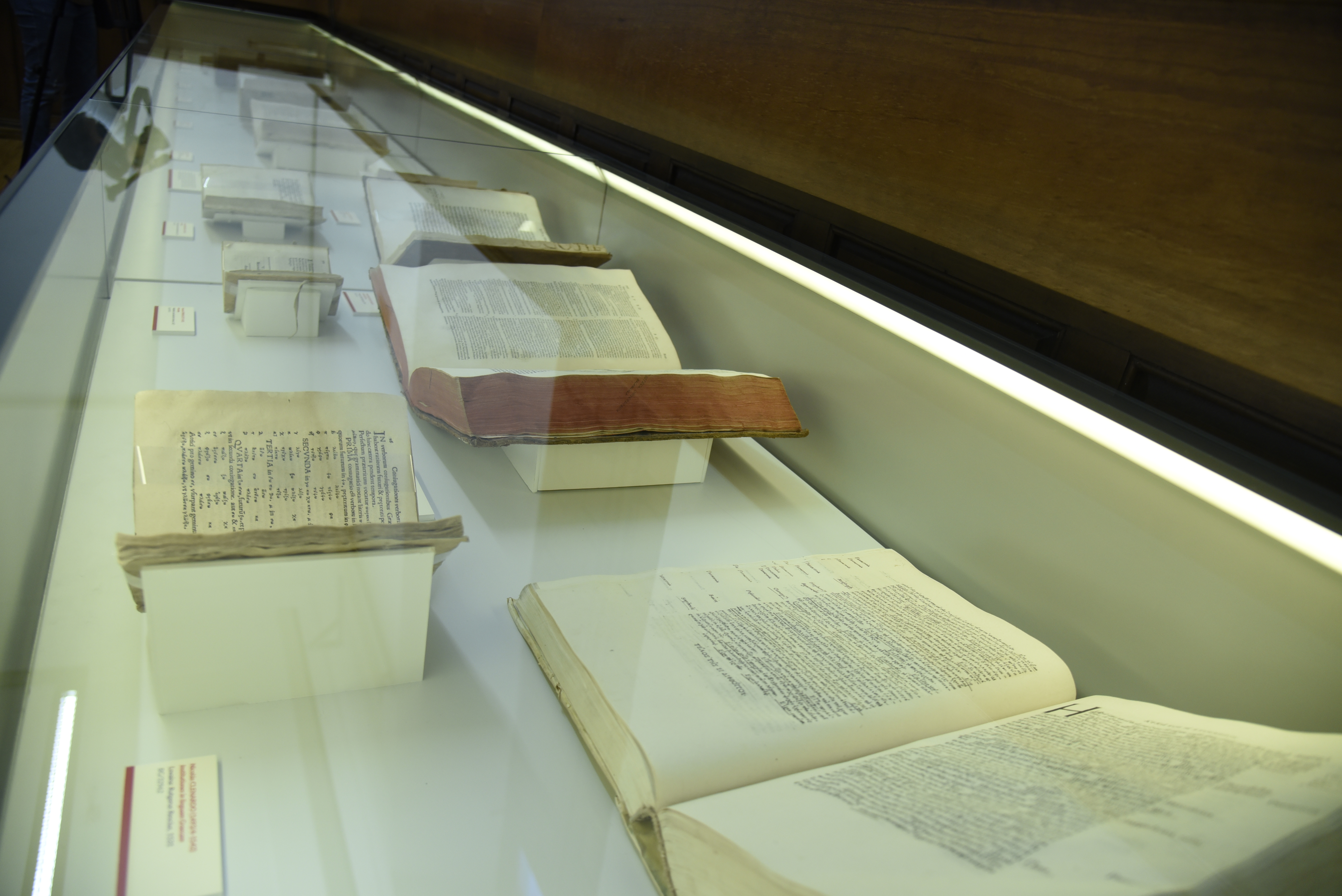 La Universidad de Salamanca abre las puertas a sus gramáticas y diccionarios de las lenguas antiguas con la exposición ‘Las llaves del conocimiento’ 