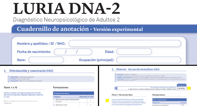descripción