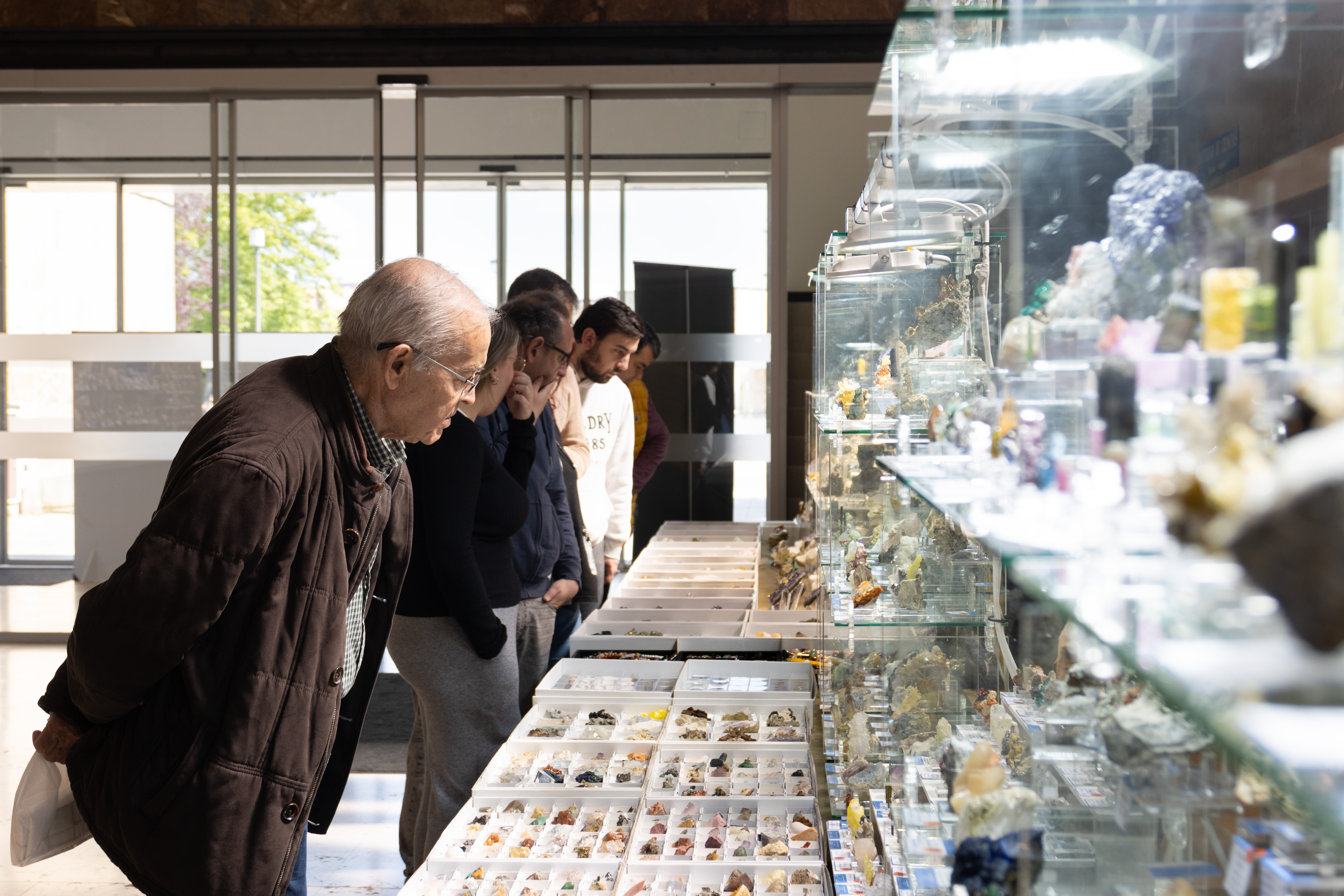 Catorce expositores de España y Portugal participan en la novena Feria de Minerales organizada por la Facultad de Ciencias