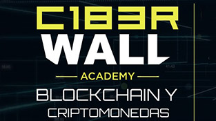 C1b3rWall Academy