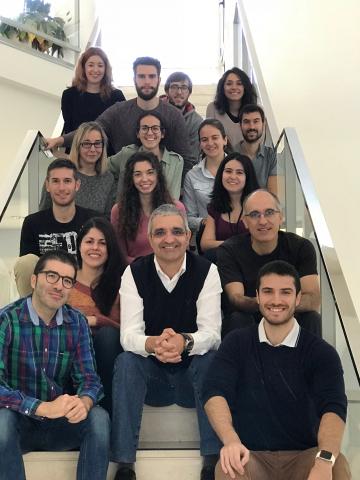 Identificado un nuevo mecanismo que frena la formación de cáncer de células de la sangre 