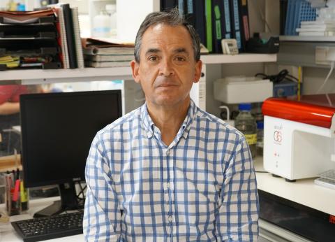 Isidro Sánchez García del Centro de Investigación del Cáncer (Universidad de Salamanca- CSIC) 