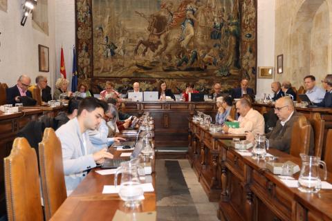 Consejo de Gobierno de la Universidad de Salamanca presidido por la vicerrectora de Calidad y Enseñanzas de Grado y rectora en funciones, María José Rodríguez Conde.