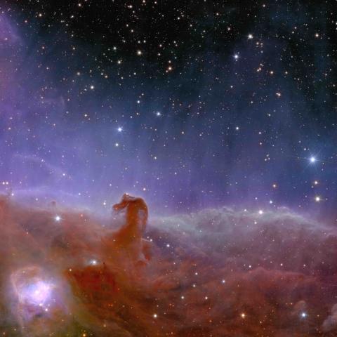Nebulosa Cabeza Caballo 
