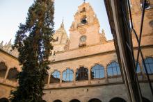 Secuoya de las Escuelas Mayores