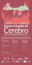 El Instituto de Neurociencias de Castilla y León de la Universidad de Salamanca celebra una nueva edición de la ‘Semana Mundial del Cerebro’